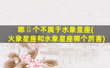 哪 ☘ 个不属于水象星座(火象星座和水象星座哪个厉害)